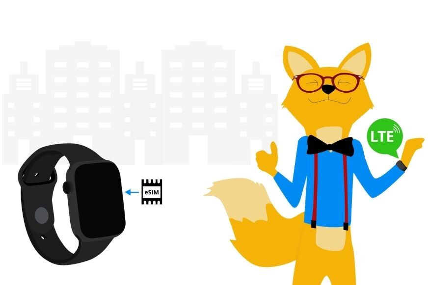 Man sieht eine Grafik zu LTE-Smartwatches.